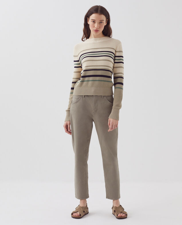Pull col rond en coton H301 st albore terre