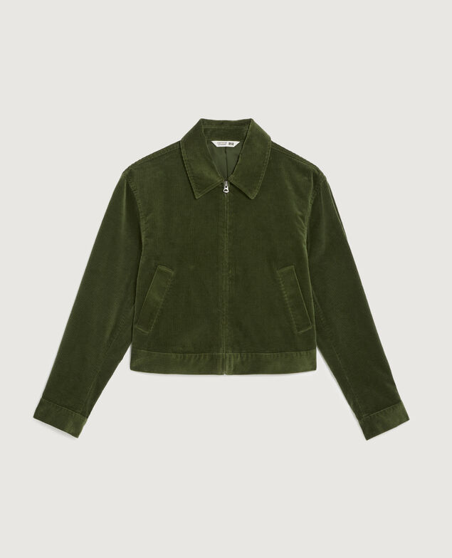 Blouson en velours côtelé U550 green