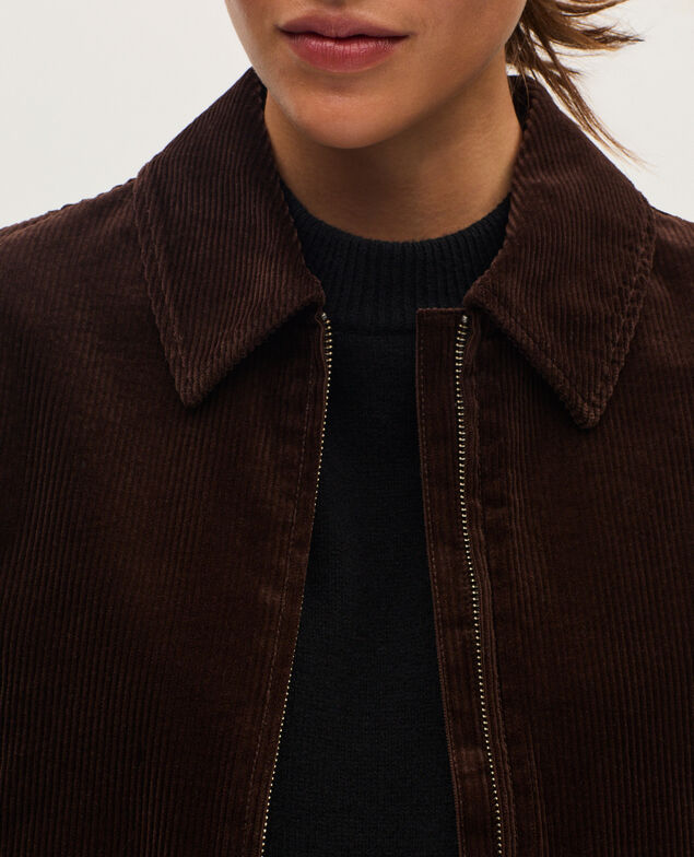 Blouson en velours côtelé U380 dark brown