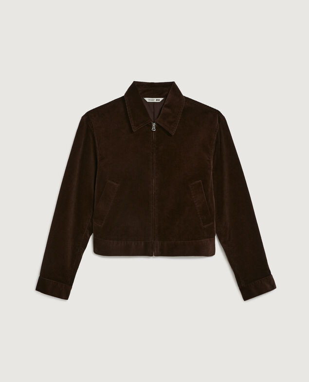 Blouson en velours côtelé U380 dark brown