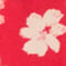 Hipster briefs CHERI MICRO DENTELLE Cherry racing red M155
